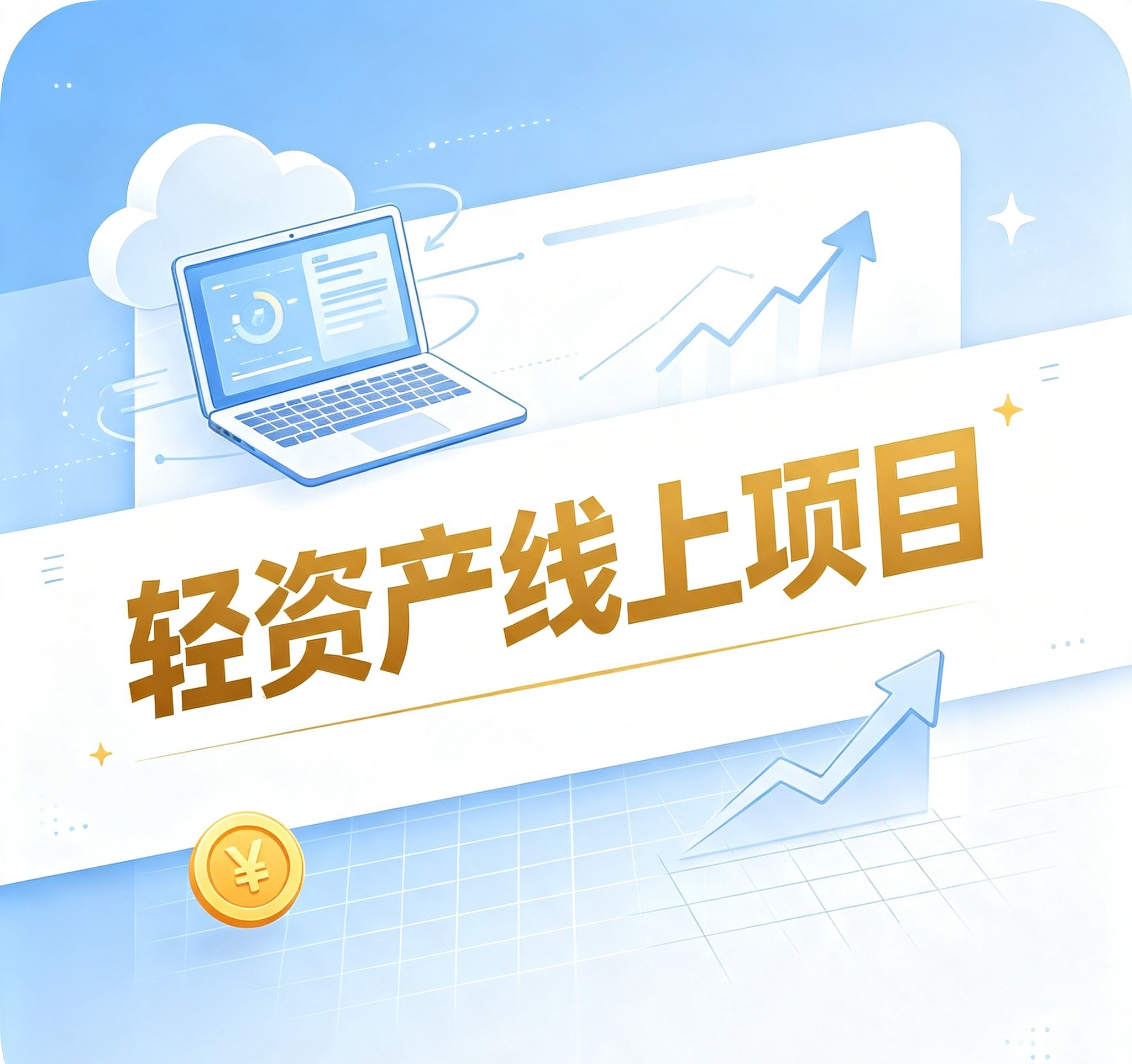 轻资产线上项目